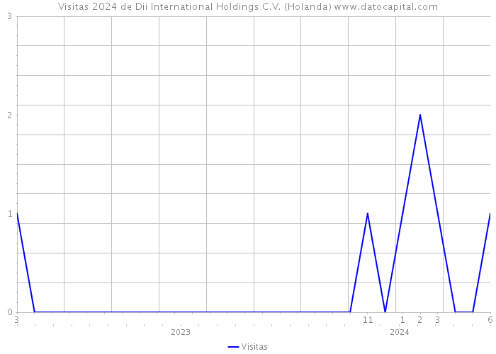 Visitas 2024 de Dii International Holdings C.V. (Holanda) 