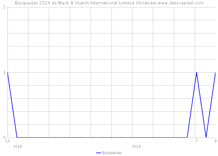 Búsquedas 2024 de Black & Veatch International Limited (Holanda) 
