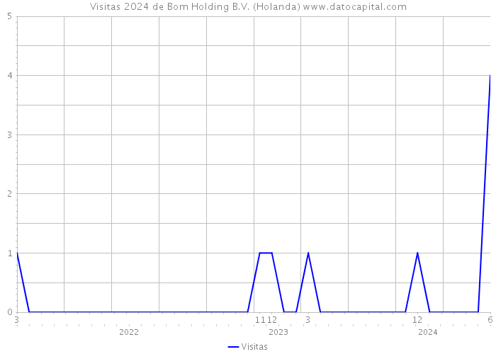 Visitas 2024 de Bom Holding B.V. (Holanda) 