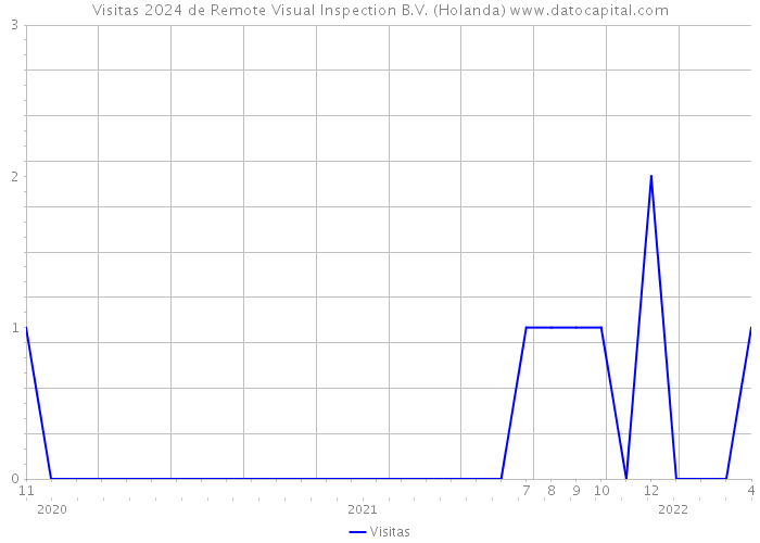 Visitas 2024 de Remote Visual Inspection B.V. (Holanda) 