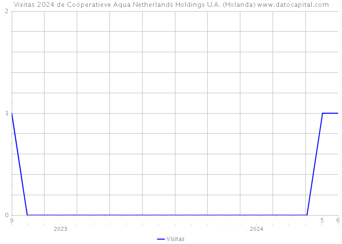 Visitas 2024 de Coöperatieve Aqua Netherlands Holdings U.A. (Holanda) 
