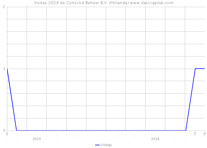 Visitas 2024 de Consolid Beheer B.V. (Holanda) 