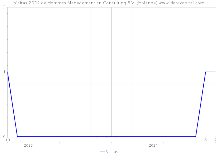 Visitas 2024 de Hommes Management en Consulting B.V. (Holanda) 