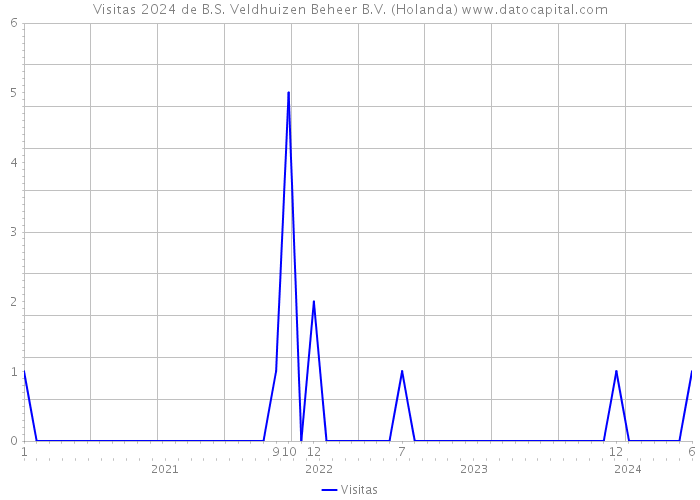 Visitas 2024 de B.S. Veldhuizen Beheer B.V. (Holanda) 