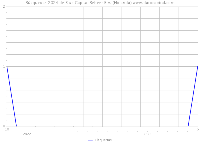 Búsquedas 2024 de Blue Capital Beheer B.V. (Holanda) 