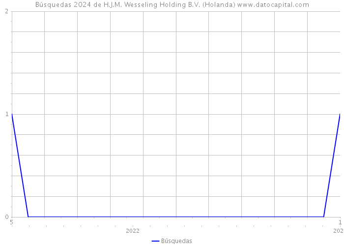 Búsquedas 2024 de H.J.M. Wesseling Holding B.V. (Holanda) 