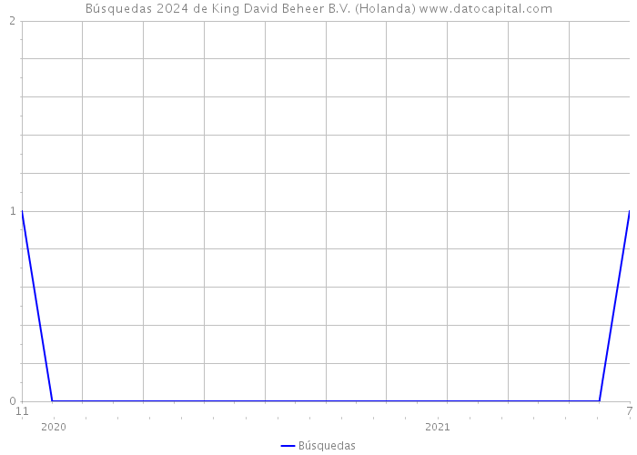 Búsquedas 2024 de King David Beheer B.V. (Holanda) 
