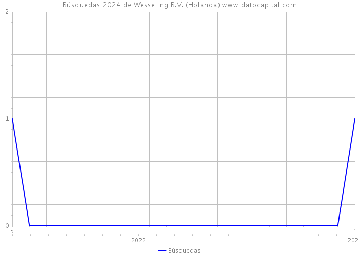 Búsquedas 2024 de Wesseling B.V. (Holanda) 