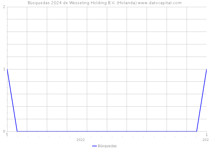 Búsquedas 2024 de Wesseling Holding B.V. (Holanda) 