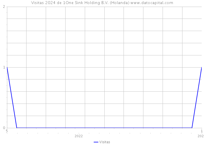 Visitas 2024 de 1One Sink Holding B.V. (Holanda) 