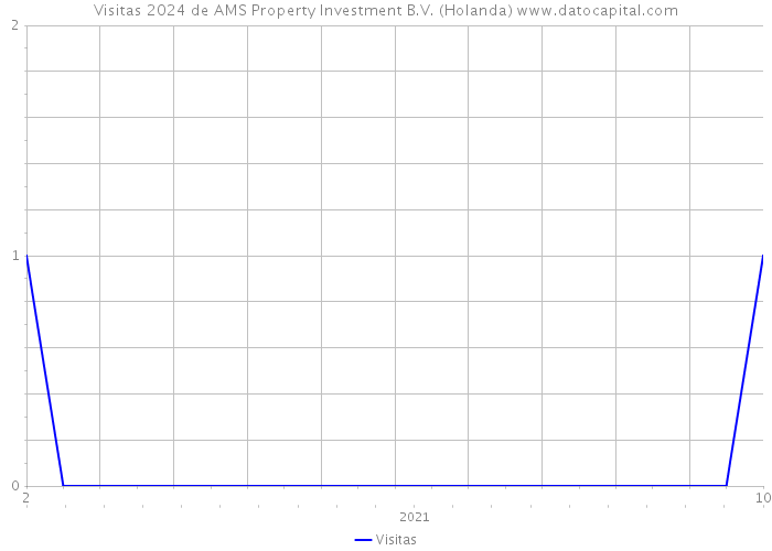 Visitas 2024 de AMS Property Investment B.V. (Holanda) 