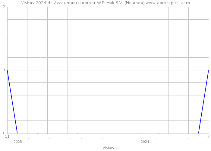 Visitas 2024 de Accountantskantoor W.P. Hak B.V. (Holanda) 