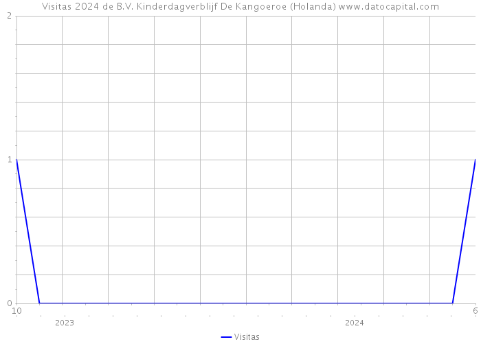 Visitas 2024 de B.V. Kinderdagverblijf De Kangoeroe (Holanda) 