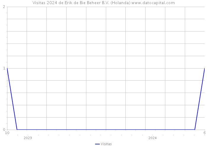 Visitas 2024 de Erik de Bie Beheer B.V. (Holanda) 