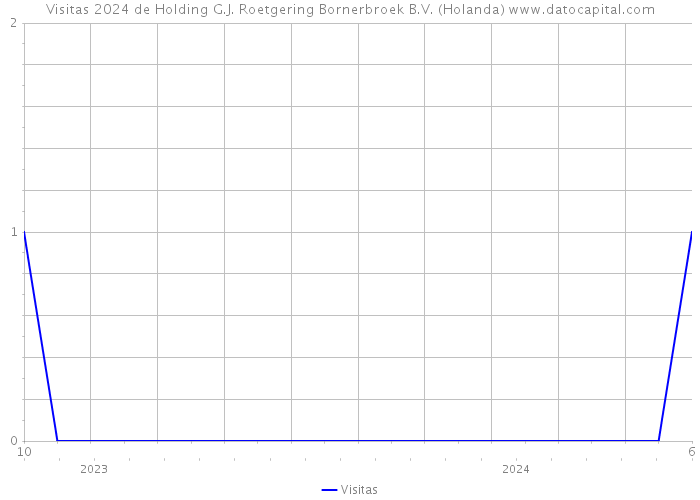 Visitas 2024 de Holding G.J. Roetgering Bornerbroek B.V. (Holanda) 