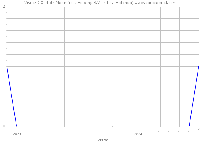 Visitas 2024 de Magnificat Holding B.V. in liq. (Holanda) 