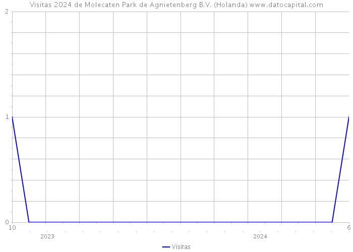 Visitas 2024 de Molecaten Park de Agnietenberg B.V. (Holanda) 