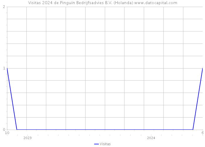 Visitas 2024 de Pinguïn Bedrijfsadvies B.V. (Holanda) 