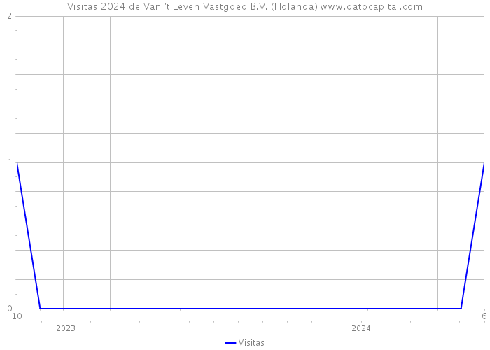 Visitas 2024 de Van 't Leven Vastgoed B.V. (Holanda) 