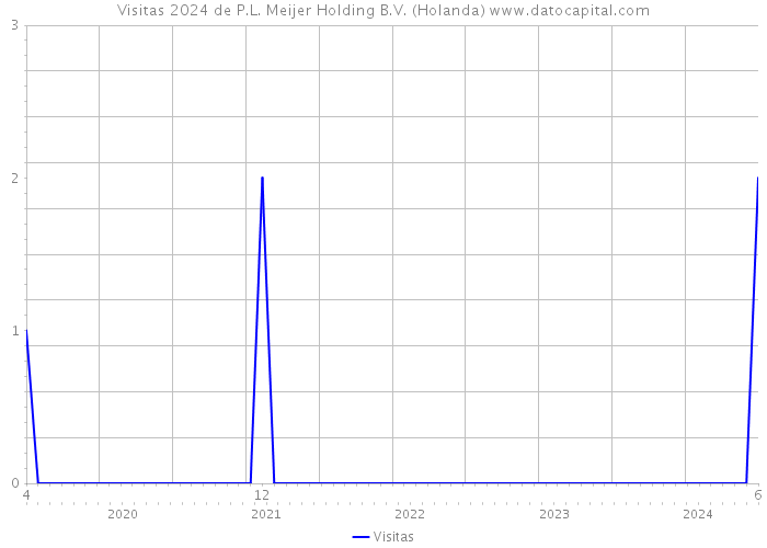 Visitas 2024 de P.L. Meijer Holding B.V. (Holanda) 