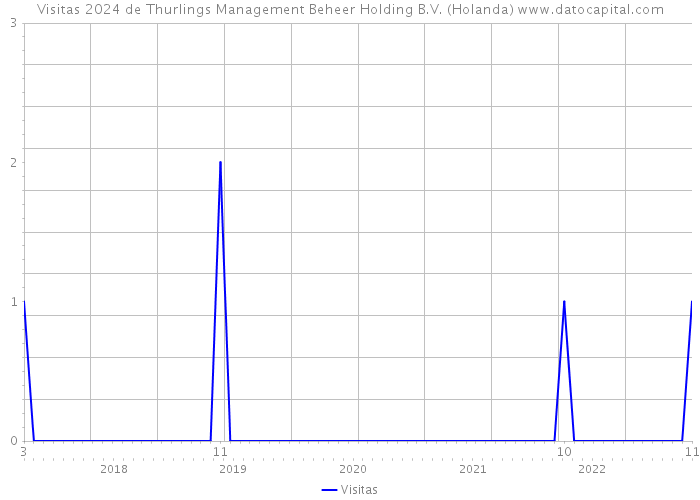 Visitas 2024 de Thurlings Management Beheer Holding B.V. (Holanda) 