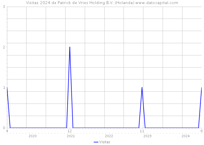 Visitas 2024 de Patrick de Vries Holding B.V. (Holanda) 