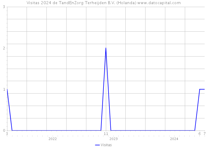 Visitas 2024 de TandEnZorg Terheijden B.V. (Holanda) 