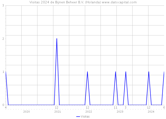 Visitas 2024 de Bijnen Beheer B.V. (Holanda) 