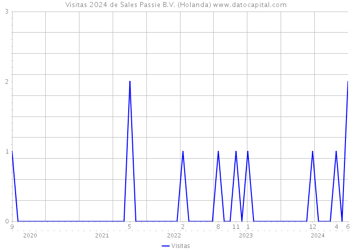 Visitas 2024 de Sales Passie B.V. (Holanda) 