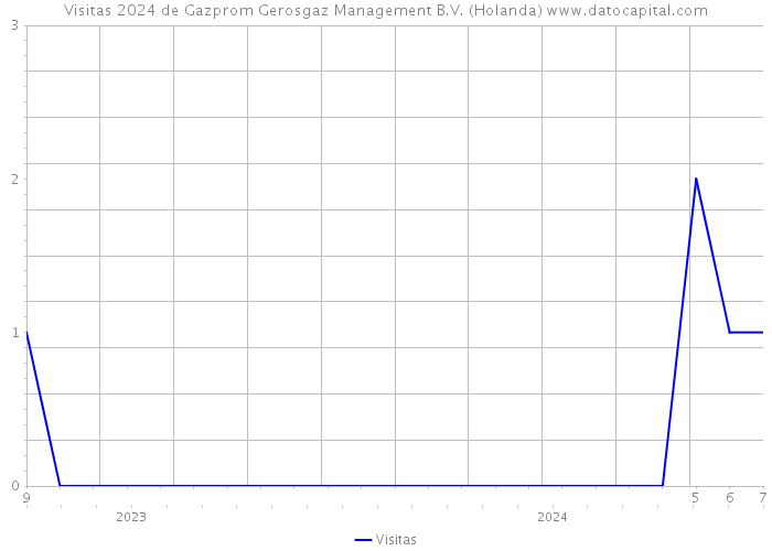 Visitas 2024 de Gazprom Gerosgaz Management B.V. (Holanda) 