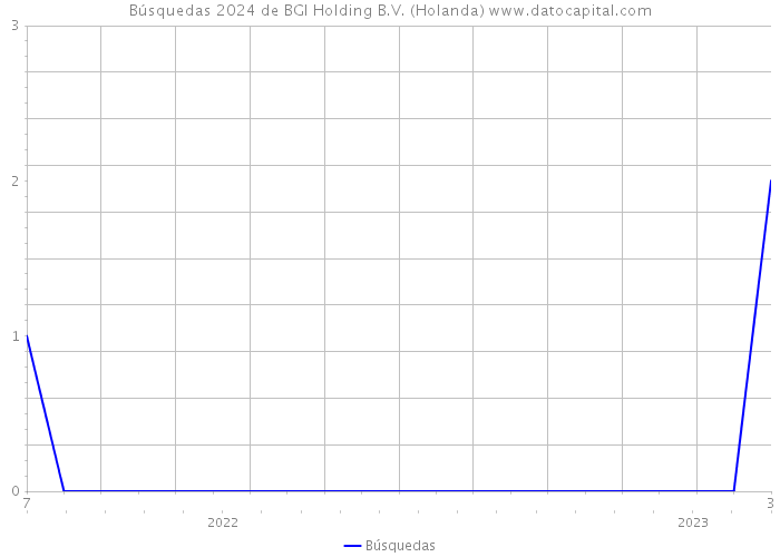 Búsquedas 2024 de BGI Holding B.V. (Holanda) 