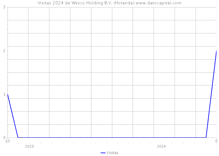 Visitas 2024 de Wesco Holding B.V. (Holanda) 