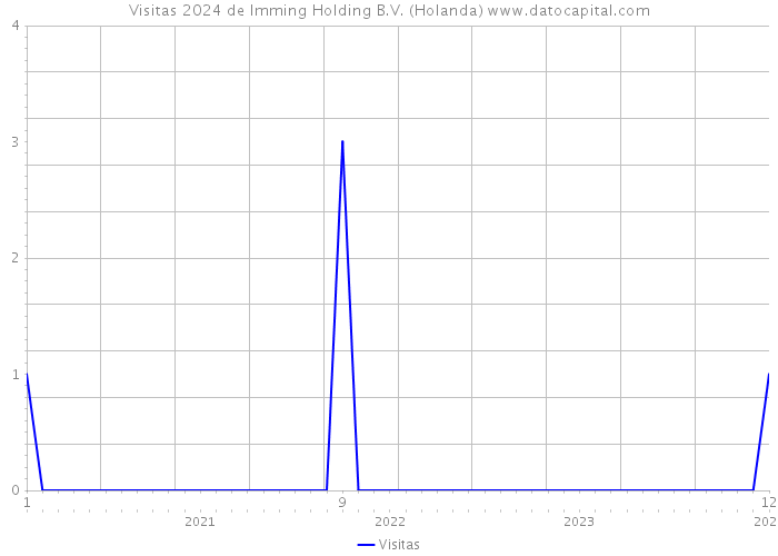 Visitas 2024 de Imming Holding B.V. (Holanda) 