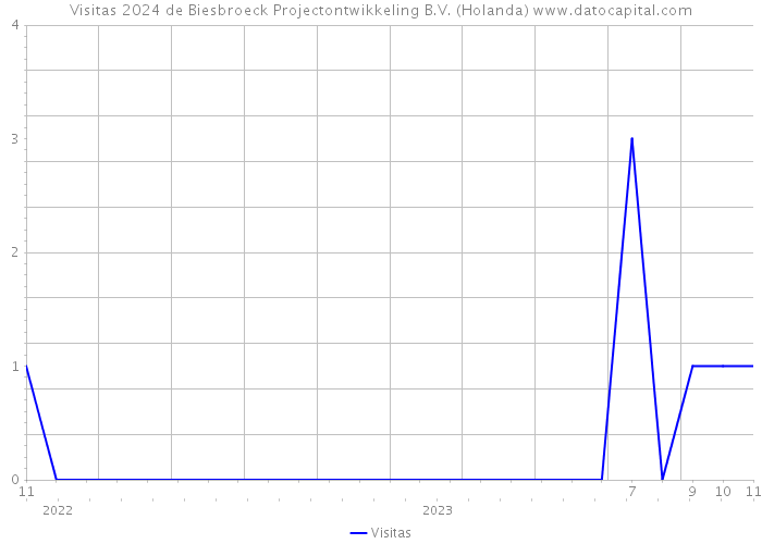 Visitas 2024 de Biesbroeck Projectontwikkeling B.V. (Holanda) 