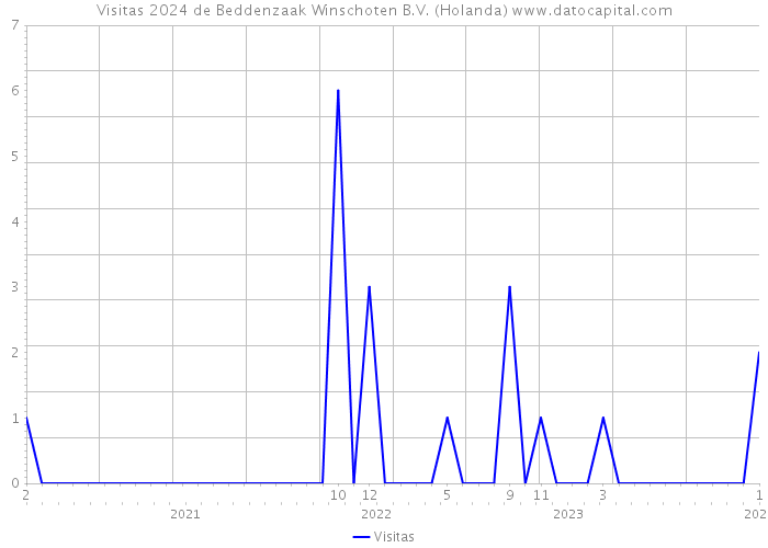 Visitas 2024 de Beddenzaak Winschoten B.V. (Holanda) 