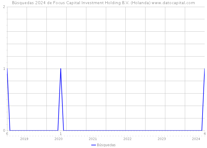 Búsquedas 2024 de Focus Capital Investment Holding B.V. (Holanda) 