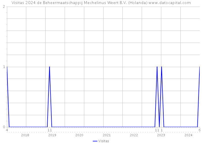 Visitas 2024 de Beheermaatschappij Mechelinus Weert B.V. (Holanda) 