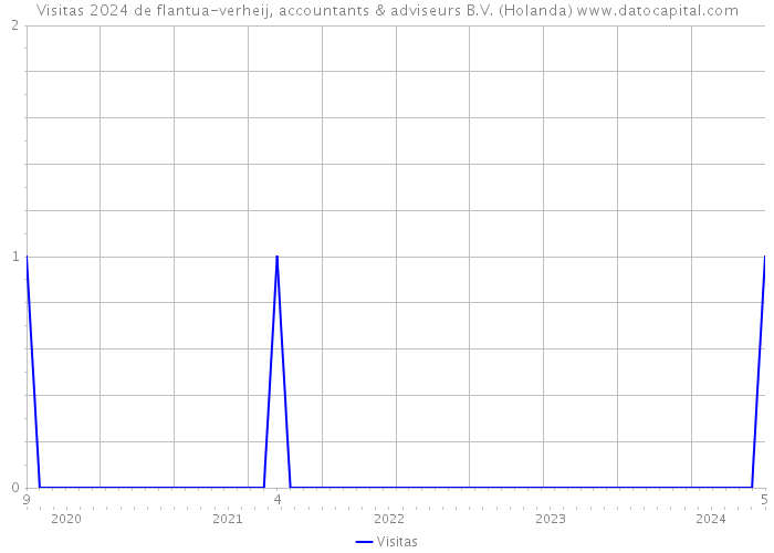 Visitas 2024 de flantua-verheij, accountants & adviseurs B.V. (Holanda) 