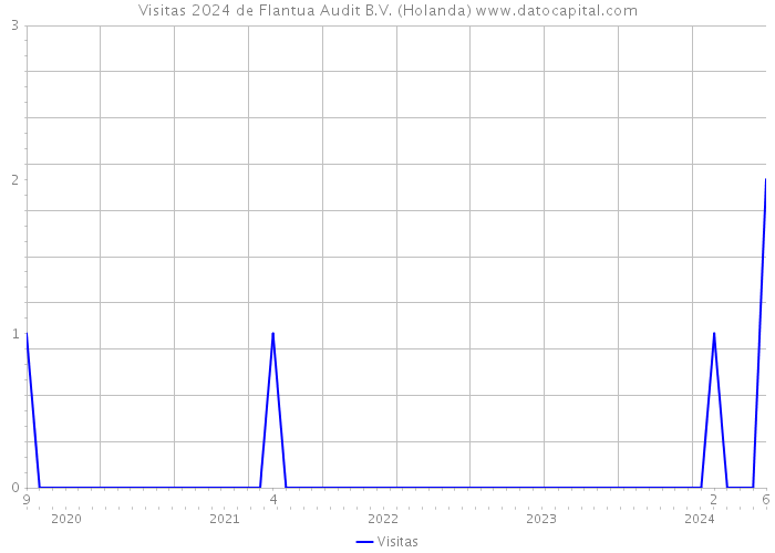 Visitas 2024 de Flantua Audit B.V. (Holanda) 