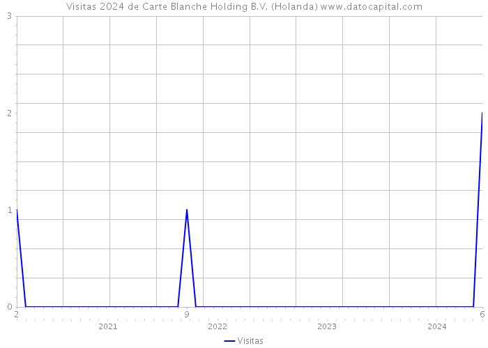 Visitas 2024 de Carte Blanche Holding B.V. (Holanda) 