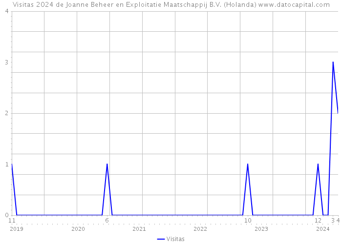 Visitas 2024 de Joanne Beheer en Exploitatie Maatschappij B.V. (Holanda) 