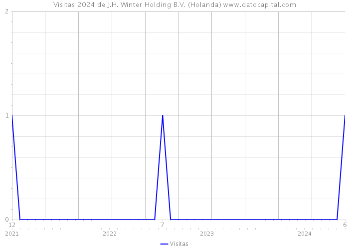 Visitas 2024 de J.H. Winter Holding B.V. (Holanda) 