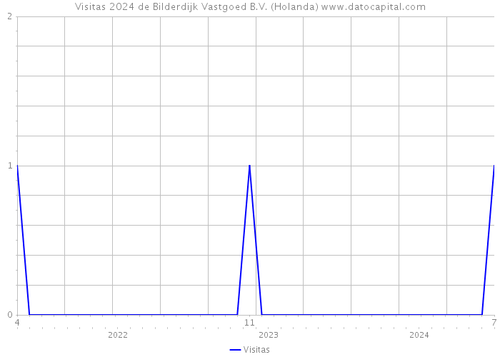 Visitas 2024 de Bilderdijk Vastgoed B.V. (Holanda) 