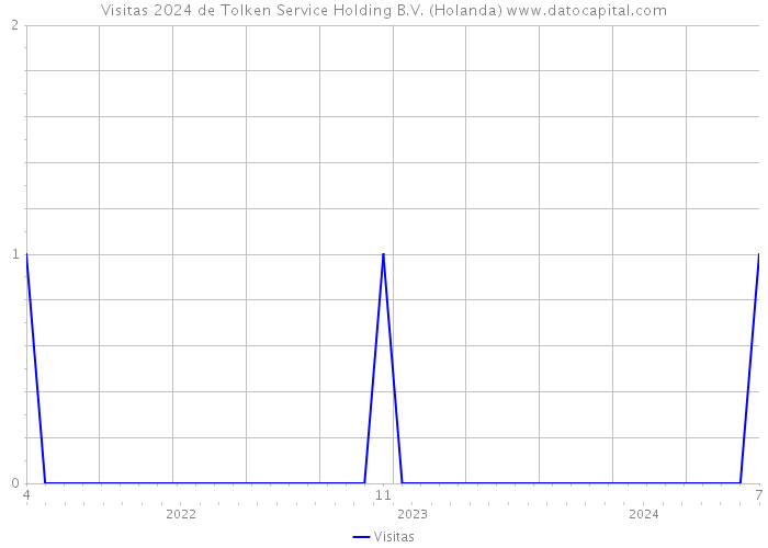 Visitas 2024 de Tolken Service Holding B.V. (Holanda) 
