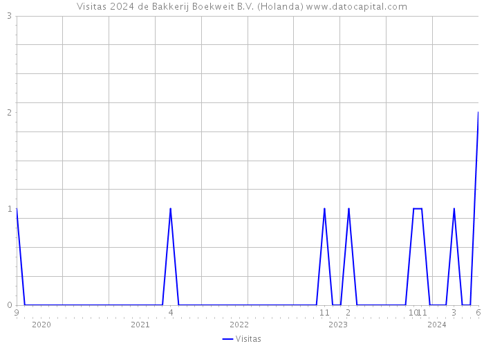 Visitas 2024 de Bakkerij Boekweit B.V. (Holanda) 