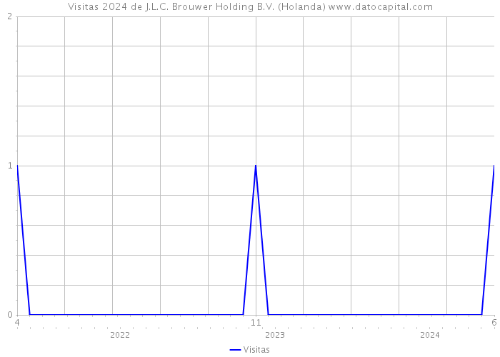 Visitas 2024 de J.L.C. Brouwer Holding B.V. (Holanda) 