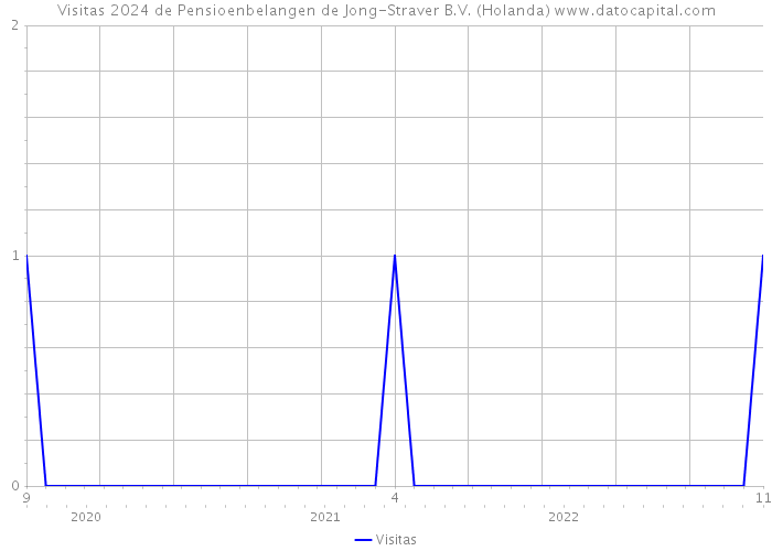 Visitas 2024 de Pensioenbelangen de Jong-Straver B.V. (Holanda) 