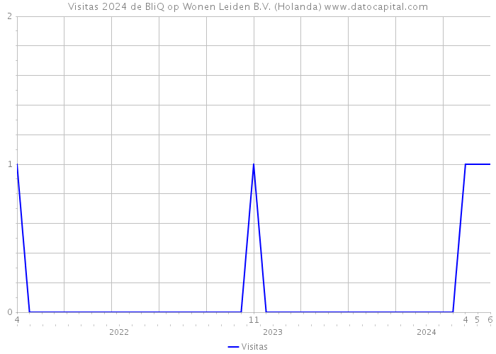 Visitas 2024 de BliQ op Wonen Leiden B.V. (Holanda) 