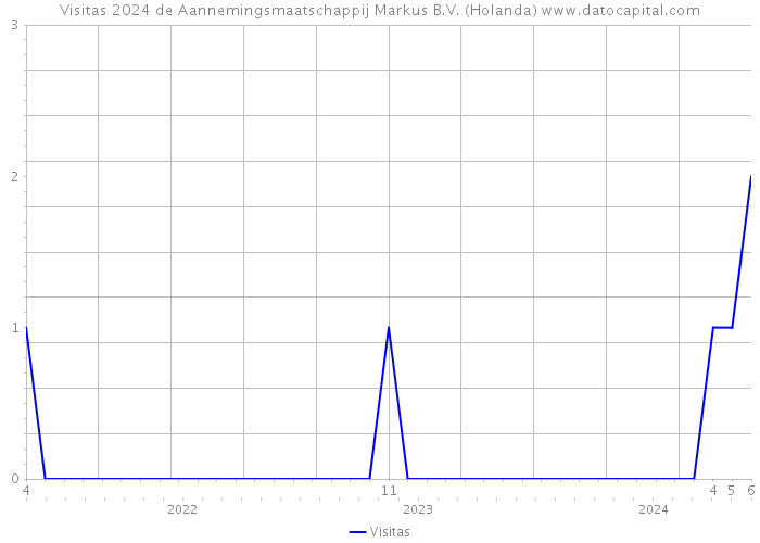 Visitas 2024 de Aannemingsmaatschappij Markus B.V. (Holanda) 