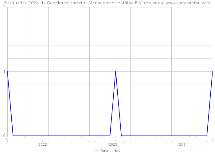 Búsquedas 2024 de Goedknegt Interim-Management Holding B.V. (Holanda) 